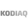 Наклейка на авто SKODA kodiaq