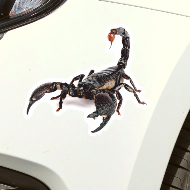 Наклейка на авто скорпион, 18х16 см