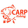 Наклейка на авто Carp fishing