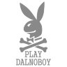 Наклейка на авто Play Dalnoboy