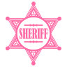 Наклейка на авто шериф