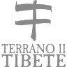 Наклейка на авто Nissan Terrano II Tibet