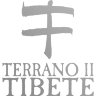 Наклейка на авто Nissan Terrano II Tibet